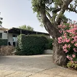Maison Avec Jardin Et Parking Privé à 300m Du Centre De -vecchio Сasa de vacaciones