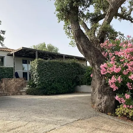 Maison Avec Jardin Et Parking Privé à 300m Du Centre De -vecchio Casa vacanze