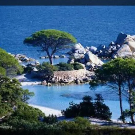 Maison Avec Jardin Et Parking Privé à 300m Du Centre De -vecchio * Porto-Vecchio (Corsica)