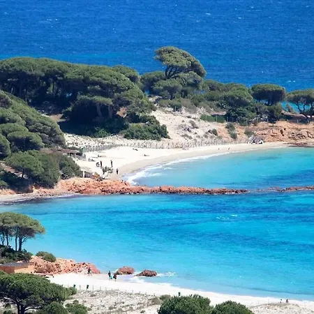 Maison Avec Jardin Et Parking Privé à 300m Du Centre De -vecchio Porto-Vecchio (Corsica)