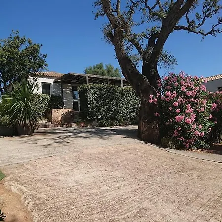 Maison Avec Jardin Et Parking Privé à 300m Du Centre De -vecchio *