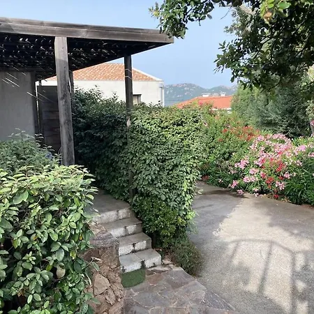 Maison Avec Jardin Et Parking Prive A 300m Du Centre De -vecchio Holiday home