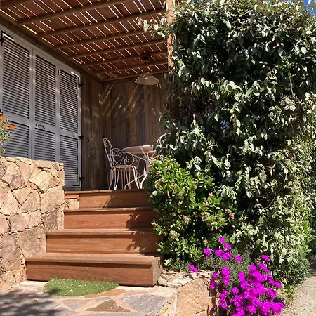 Casa de Férias Maison Avec Jardin Et Parking Privé à 300m Du Centre De -vecchio