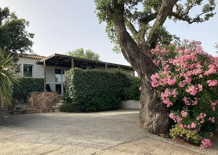 Maison Avec Jardin Et Parking Prive A 300m Du Centre De -vecchio Holiday home