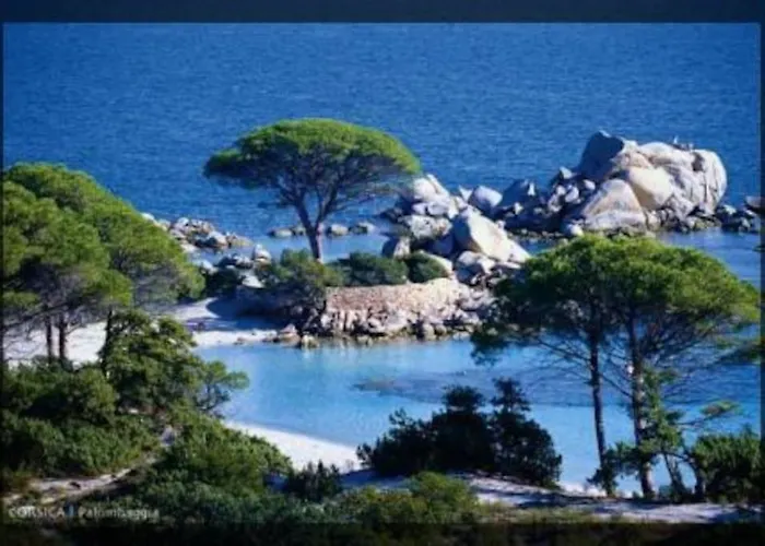 Maison Avec Jardin Et Parking Prive A 300m Du Centre De -vecchio * Porto-Vecchio (Corsica)