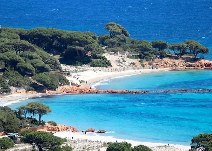 Maison Avec Jardin Et Parking Prive A 300m Du Centre De -vecchio Porto-Vecchio (Corsica)