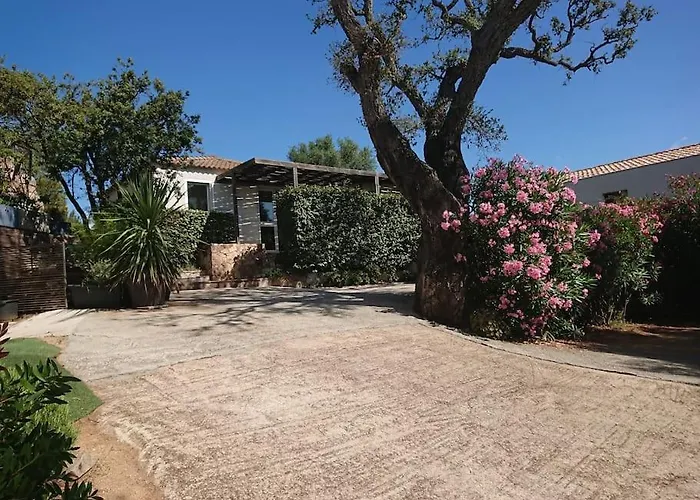 Maison Avec Jardin Et Parking Prive A 300m Du Centre De -vecchio *